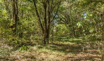 Lot 24 Mallard Drive, Barnwell, SC 29812