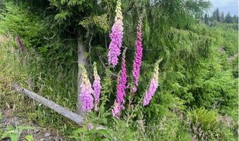 Northrup Creek Rd, Birkenfeld, OR 97016