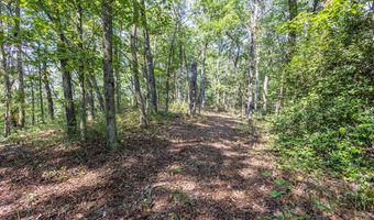 23 59 Ac Chestnut Flats Rd, Andrews, NC 28901