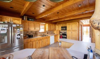 9885 Challis Creek Rd, Challis, ID 83226