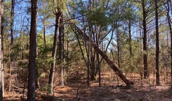 TBD Squires ST, Alma, AR 72959