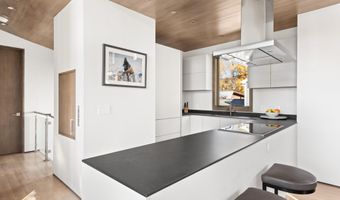 522 Spruce St, Aspen, CO 81611