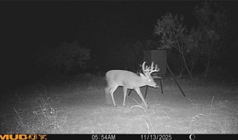 11605 County Road 372, Anson, TX 79501