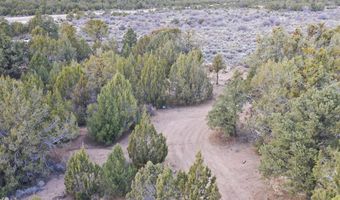 177 E Forest Dr, Central, UT 84722