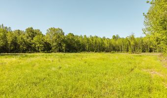 Beech Bluff Road, Beech Bluff, TN 38313
