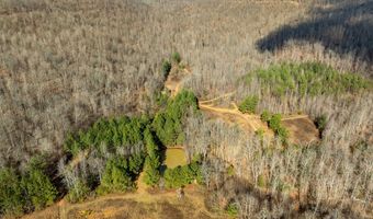 700 Acres Puncheon Creek Ln, Allred, TN 38542