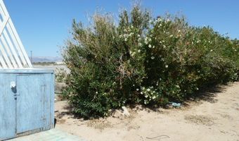 9860 S US HWY 95, Cal Nev Ari, NV 89039