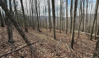 1029 Chippawa Dr 67, Arden, NC 28704