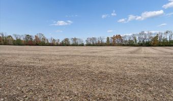 Condit Rd, Albion, MI 49224