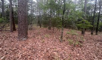 UNIT # 263B KIAMICHI WILDERNESS RD Unit # 63 63, Antlers, OK 74523