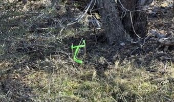 Bunting Drive, Bonanza, OR 97623