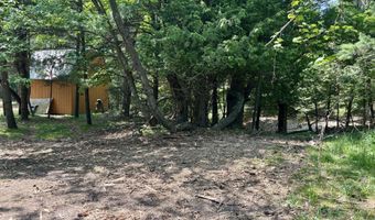 002 Maxey Rd, Arcadia, MI 49613