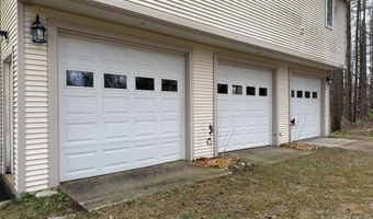 2564 E Brutus Rd, Alanson, MI 49706