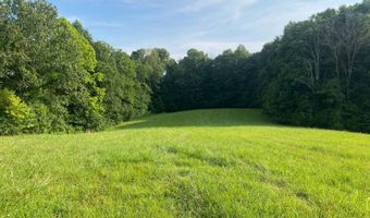 0 Willow Grove Hwy, Allons, TN 38541