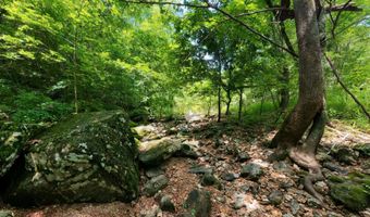 County Road 200, Alton, MO 65606