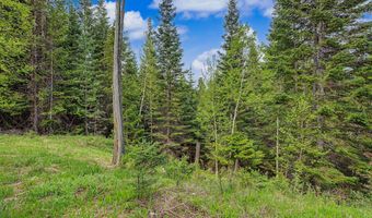 30612 Three Turtle Xing, Bigfork, MT 59911