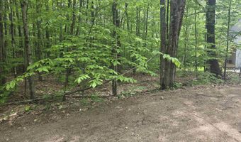5 Panaway Dr 11-1-3, Campton, NH 03223