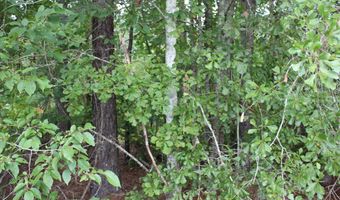 Alberson Road, Ashburn, GA 31714
