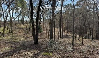 TR 3A FM 752, Alto, TX 75925