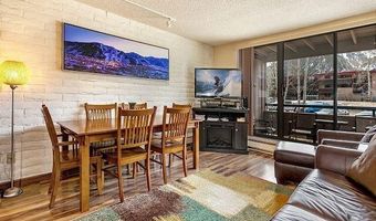 313 VINE St 313, Aspen, CO 81611