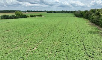 290 CR, Asbury, MO 64832