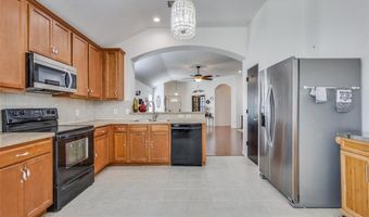 1617 Black Maple Dr, Anna, TX 75409