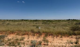 1190 SE 1630, Andrews, TX 79714