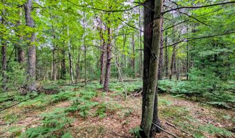 Hillside Drive, Alger, MI 48610