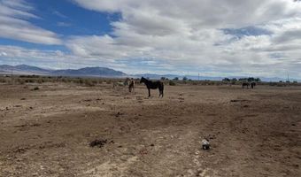 1600 Kyle Hot Springs Rd, Imlay, NV 89418