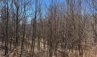 Lot # 70 Tall Tree Lane, Banner Elk, NC 28604