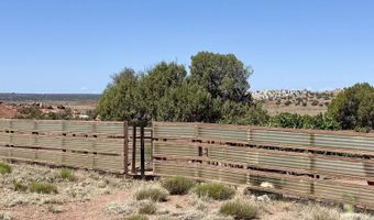 105 County Road N9328, Concho, AZ 85924