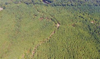 0 CR 320, Big Creek, MS 38914