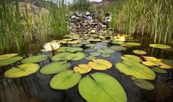 34 Rincon Canada, Abiquiu, NM 87510