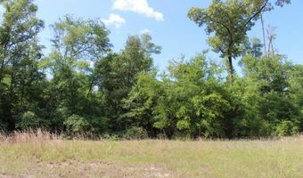 5929 Nichols Rd, Bascom, FL 32423