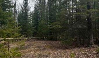 6002 Wildwood, Alger, MI 48610