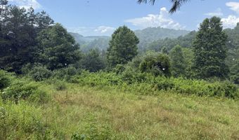 800 Pond Lick Rd, Annville, KY 40402