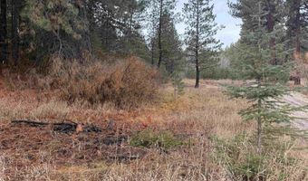 111 Cabarton Rd, Cascade, ID 83611