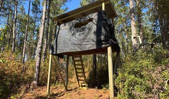 TBD Binnicker Bridge Road, Bamberg, SC 29003