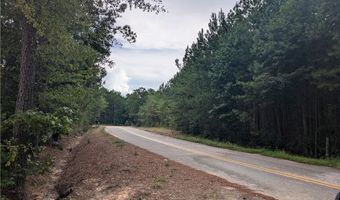 0 Lee Road 393, Auburn, AL 36832