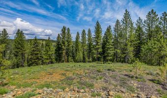 TBD Tamarack View Drive, New Meadows, ID 83654