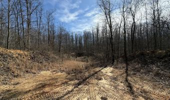 4872 Deer Run Rd, Altamont, TN 37301