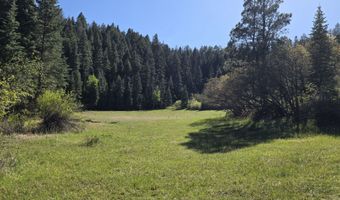 15098 CR 240, Bayfield, CO 81122