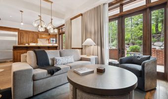 415 E Dean St. # 7 Week 30, Aspen, CO 81611