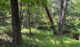 FOX RUN lot 24A 3.22 Ac, Baker, WV 26801