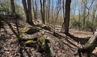62 Acres Buckeye Ridge Rd, Beech Mountain, NC 28604