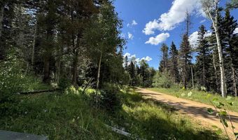 Lot 23 Elk Ridge Road, Angel Fire, NM 97710