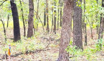 Tbd Dude Lane, Millsap, TX 76066