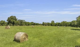 365 County Road 1534, Alba, TX 75410