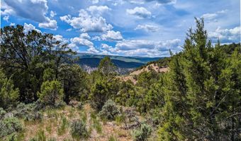 117 Paintbrush Way, Glenwood Springs, CO 81601
