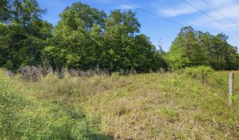 Hilton Trail, Baker, FL 32531